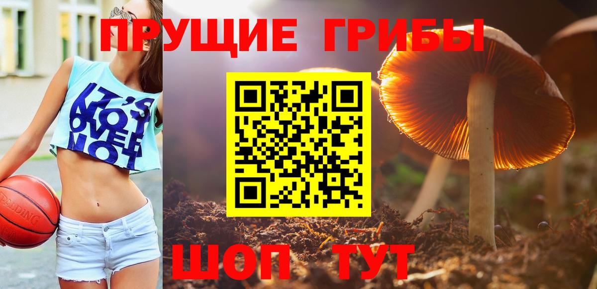 Галлюциногенные грибы Cubensis Ипатово