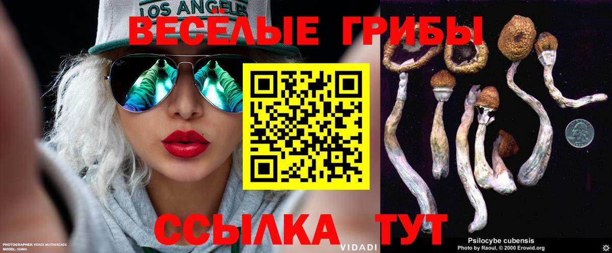 Ипатово  Псилоцибиновые грибы мухоморы  Вход с VPN 